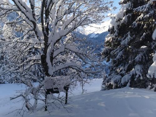 Appartement - dans le chalet Carmazin