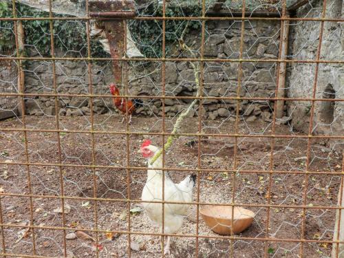 Ryan's Loft Ardfinnan - image 5