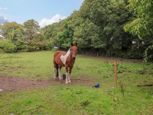 A szálláshely kívülről, Ryan's Loft in Ardmore