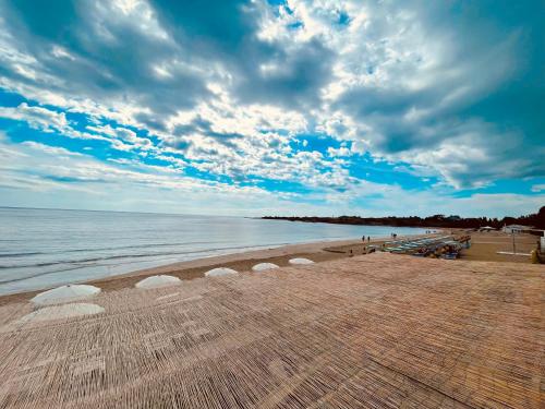 At the Seacily At the Seacily