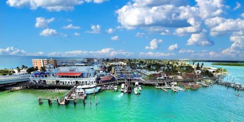 Villa Madeira #505 - image 6