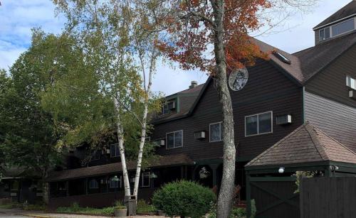 Snowy Owl Inn - image 2