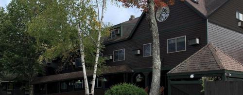 Snowy Owl Inn - image 6