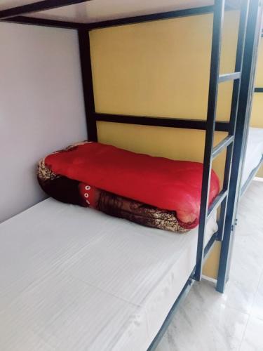 Adventure Homestay khajuraho – Khajuraho, IN