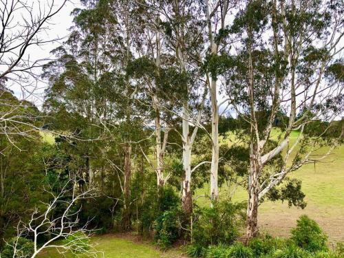 "La Petite Grange" Maleny