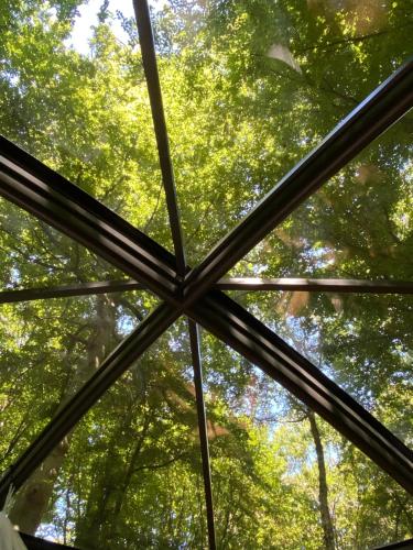 Le Dôme de Namur - Une nuit insolite dans les bois