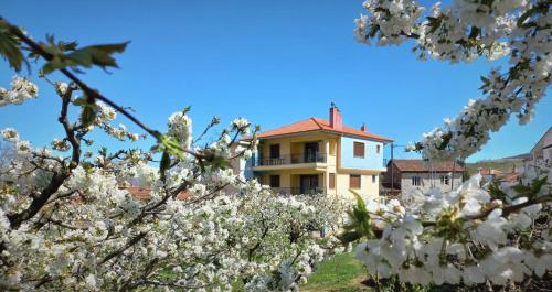  House Venetia, Pension in Orma