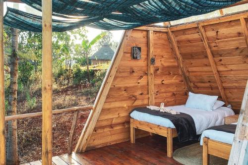 Foresight Eco Lodge & Safari – Karatu District, VA