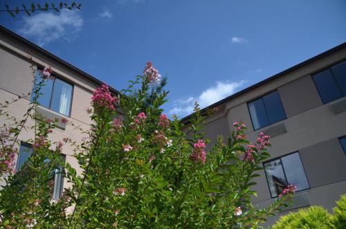 Smoky Mountain Inn & Suites – Cherokee, NC