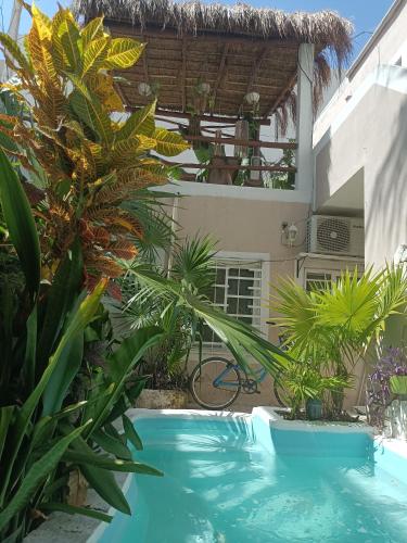 Kika Studios, Playa del Carmen