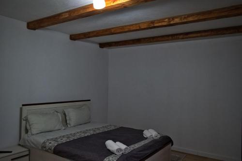 Conacul Cosăului - main image