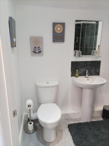 Victorian Renovation Room 8, Liverpool (photo 11)