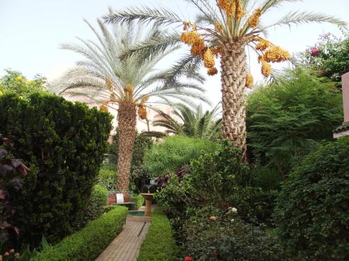 Riad Dar Hajra Riad Dar Hajra