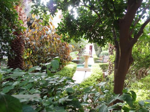 Riad Dar Hajra Riad Dar Hajra