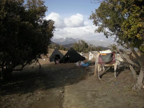 Riad Dar Hajra Riad Dar Hajra