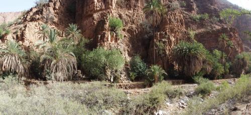 Riad Dar Hajra Riad Dar Hajra