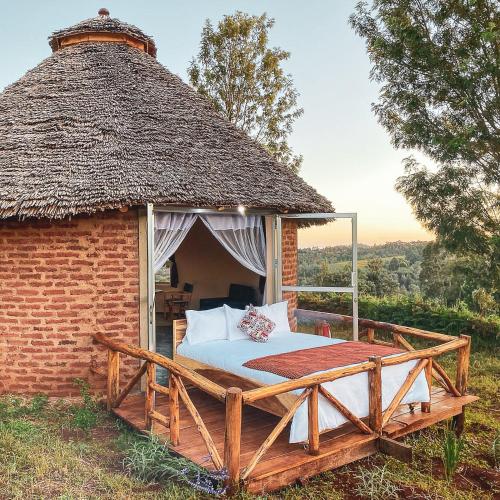 Foresight Eco Lodge & Safari – Karatu District, VA