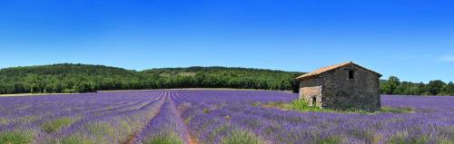 Nos jours heureux