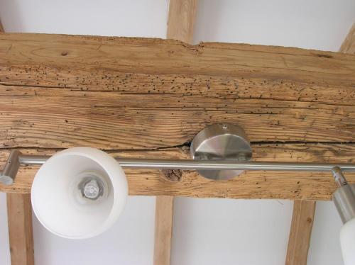 Appartement Fortuna