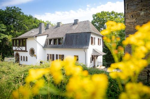 Landhaus Karbach komplett oder einzelne Wohneinheiten Villa inkl Sauna bzw Waldhäuschen