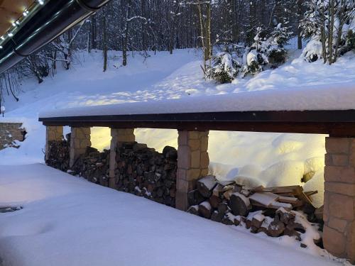 Wooden house in the heart of the Giant Mountains with own hill