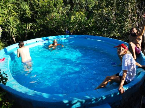 Pinnettu sardo cerca su Google tipica abitazione sarda in ecosistema insetti e animaletti simpatici in condivisione bagno esterno a 10metri Leggere attentamente Prima di prenotare