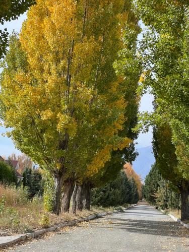 Коттедж на берегу Иссык-Куля