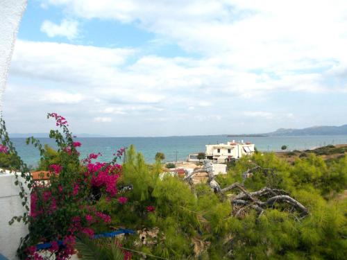 Apkārtne, Hotel Flisvos in Megalochori (Agkistri)