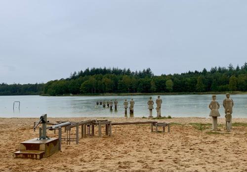 Навколишнє середовище, Vakantiehuis Bos en Hei Veluwe in Eпe