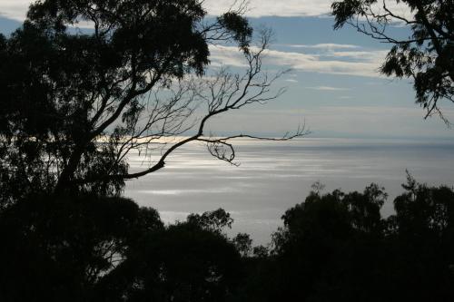 Dream Views at Arthurs Seat B & B Over view