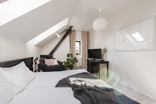 1 queen bed, 1 sofa bed