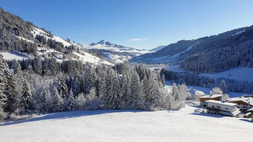 5 Pers. Ferienwohnung mit Traum Aussicht - Apartment - Ski Juwel Alpbachtal Wildschönau