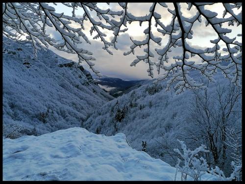 Appartamento La Foresta Abetone