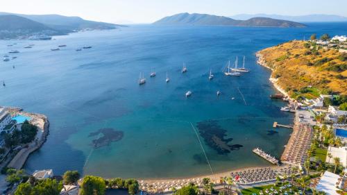 阿茲卡酒店 Azka Hotel