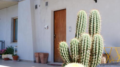 B&B del Cactus - Accommodation - Corridonia