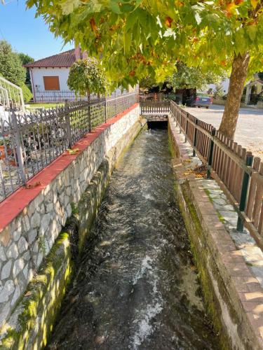 Agapi - image 13