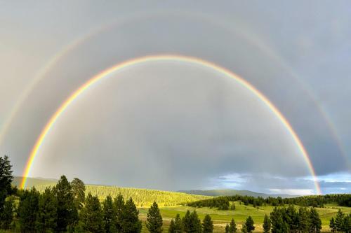 Sunny Mountain Delight in Angel Fire, USA