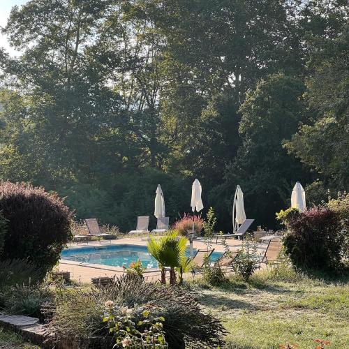 สระว่ายน้ำ, Hôtel Château Du Rey (Hotel Chateau Du Rey) in แซ็ง-ต็องเดร-เดอ-มาฌองกูล