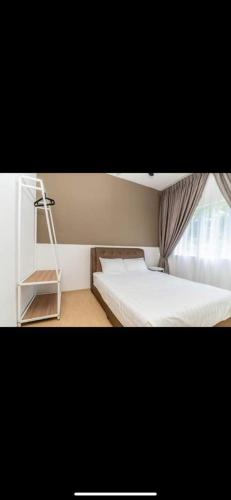 Lily Homes