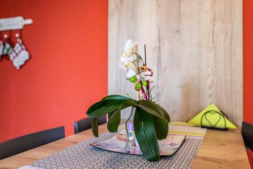 L'antica corte apt Angelina