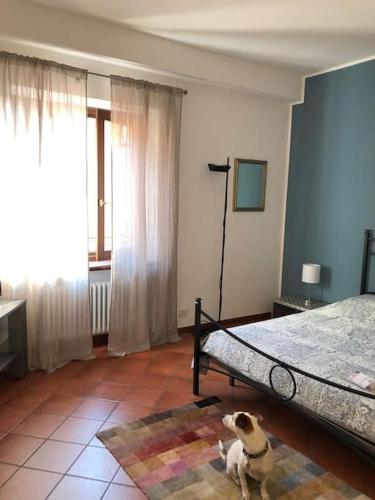  MILU´- incantevole appartamento in centro a Garda in Garda