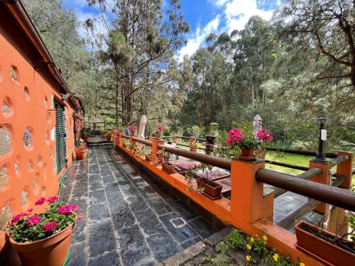 Casa Rural en medio del bosque, El Lance