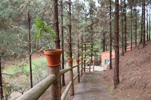 Casa Rural en medio del bosque, El Lance