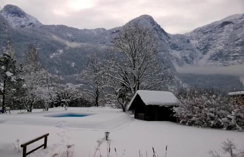 Kert, Seehotel am Hallstattersee in Obertraun
