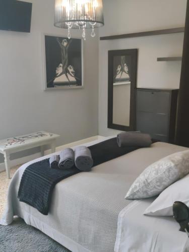  Urban Art Space - Three rooms -near the center and train station in Modena
