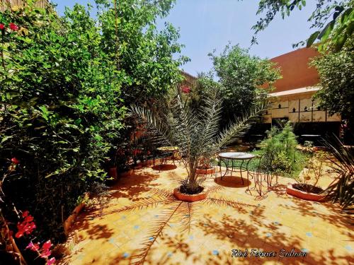 Riad Fennec Sahara in Zagora