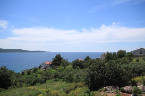 Apartments and rooms by the sea Zavala, Hvar - 8784