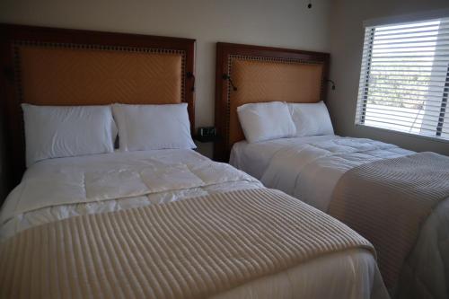Bed, Venture on Country Club in West Mesa