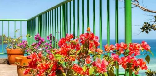 بيت الضيافة مانفيو بيت الضيافة مانفيو