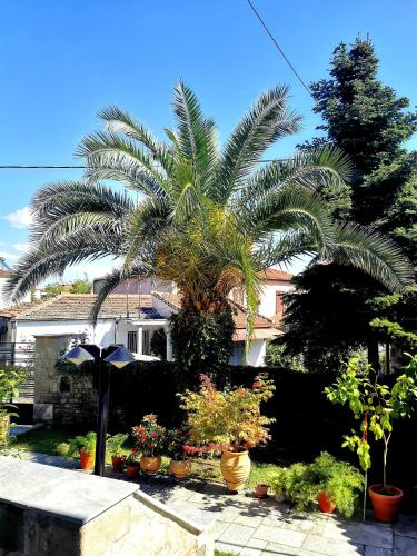 Παραδοσιακή κατοικία-Παλιά Πόλη, Трикала (фото 3)